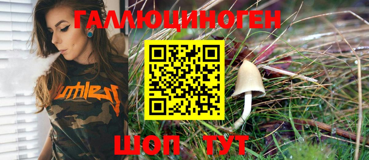 Псилоцибиновые грибы Psilocybe Орёл