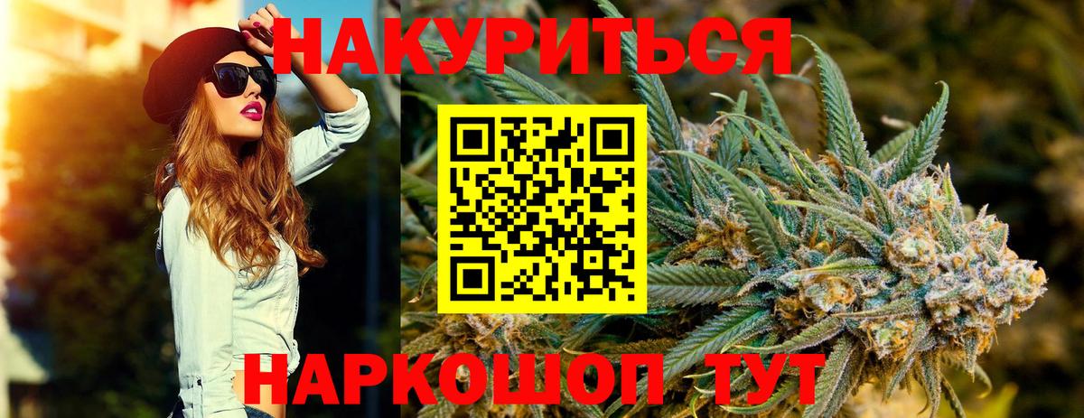 Канабис сатива  Вход с VPN  Орёл  Бошки марихуана план  Бошки Шишки конопля 